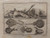 "Thornbacks etc" - antique print, published 1730s