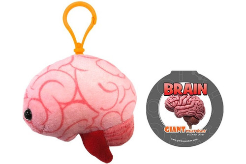 Brain Organ Keychain- With Informational Tag
