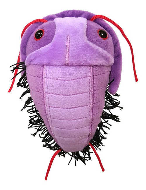 Trilobite Plushie front view