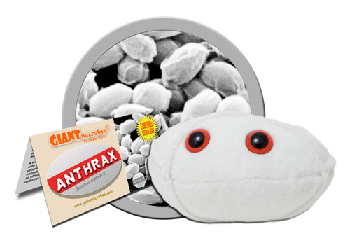 Anthrax plushie with informational tag