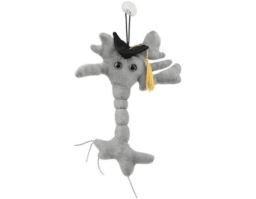 Graduation Brain Cell (Neuron)- Front View