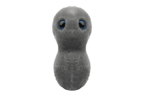 The Clap- Gonorrhea- Front View