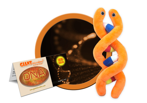 DNA- With Informational Tag