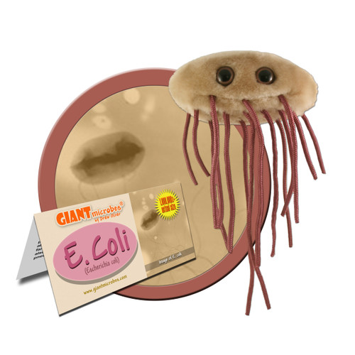 E. Coli- With Informational Tag