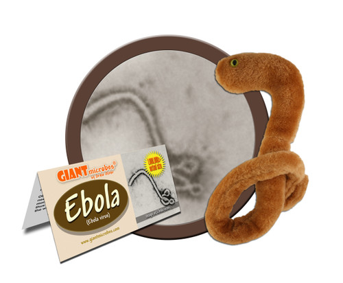 Ebola Virus- With Informational Tag