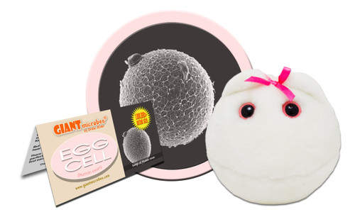 Egg Cell- with Informational Tag