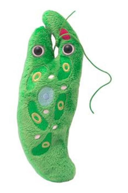 Euglena Plushie