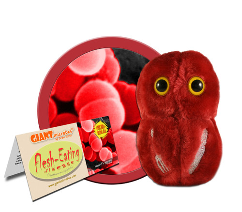 Flesh Eating Streptococcus- With Informational Tag