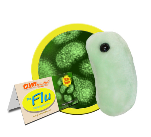 Flu