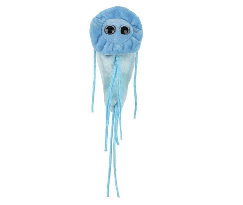 Giardia- Plush Front View