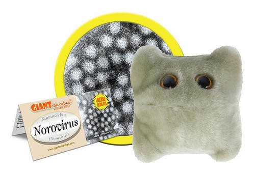 Norovirus- Original- With Informational Tag