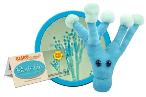 Penicillin- With Informational Tag