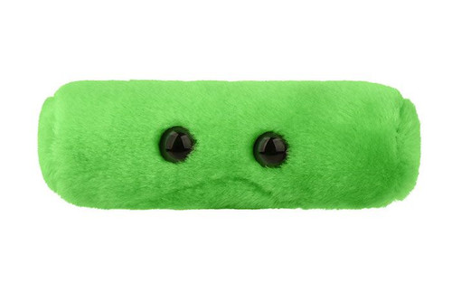 TB (Tuberculosis) plushie front view