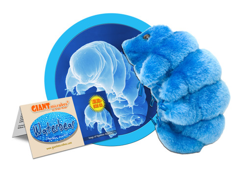 Waterbear plushie with informational tag