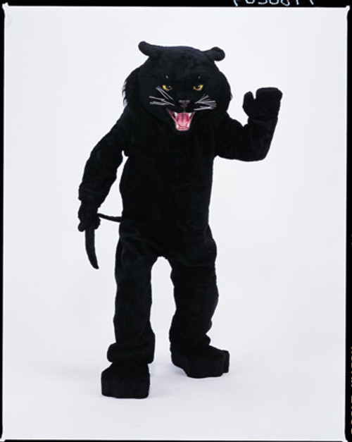 PANTHER BLACK MASCOT COMPLETE Front View