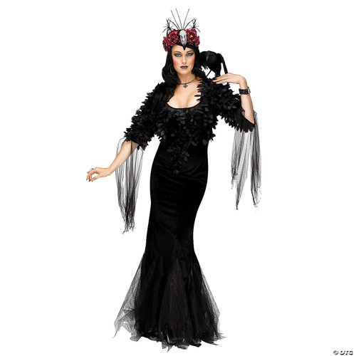 Raven Mistress Costume- front view