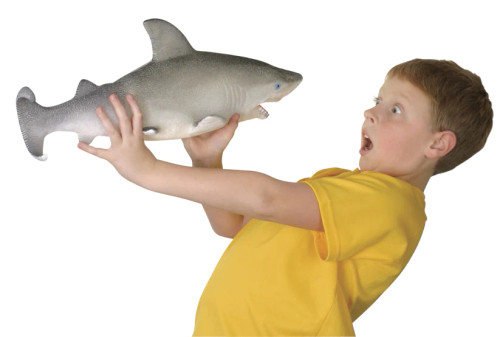 Ginormous Shark- grown