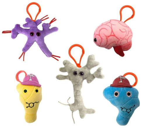 Brain Science Gift Box- Brain, Dopamine, Serotonin, Glial Cell and Neuron