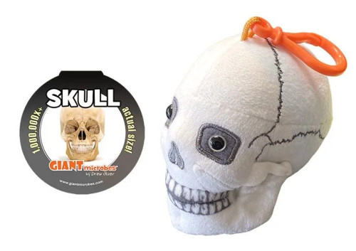 Skull Keychain- with informational Tag