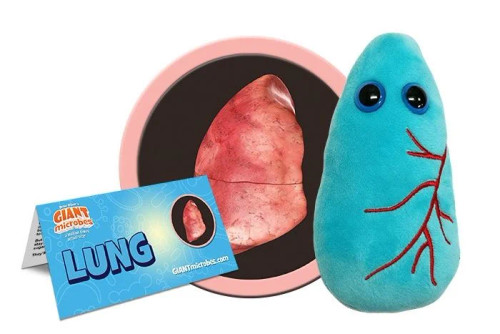 Lung- With Informational Tag