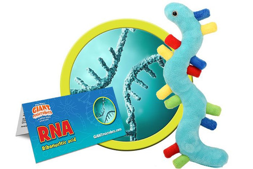 RNA- With Informational Tag