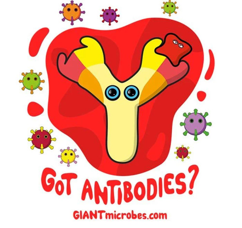 Got Antibodies? Hat- White- Design