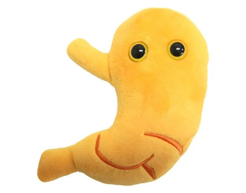 stomach plushie front view