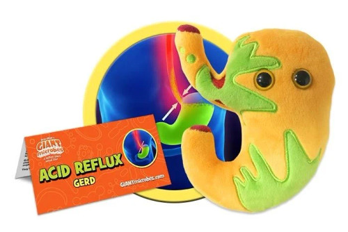 acid reflux plushie with informational tag
