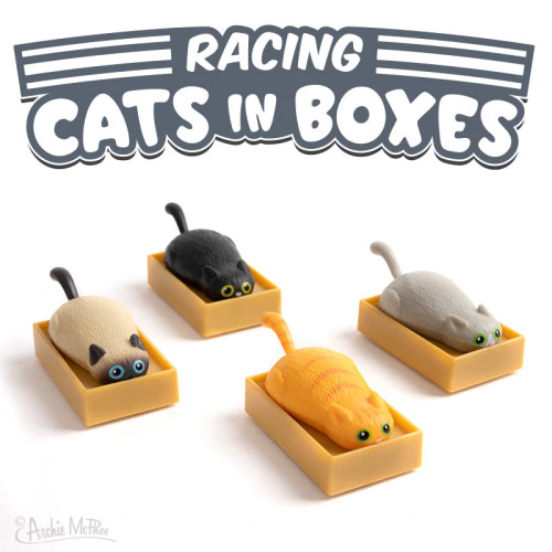 Racing Cat In A Box