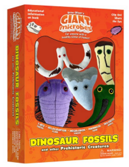 Dinosaur Fossils Gift Box- box