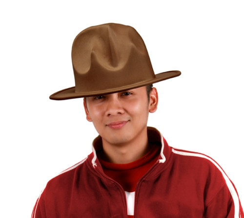 Happy Brown Suede Hat