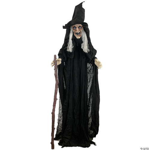 Animated Witch with Cane