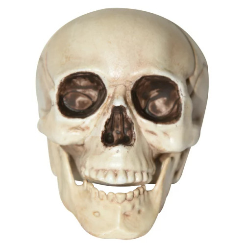 4" Tabletop Skull