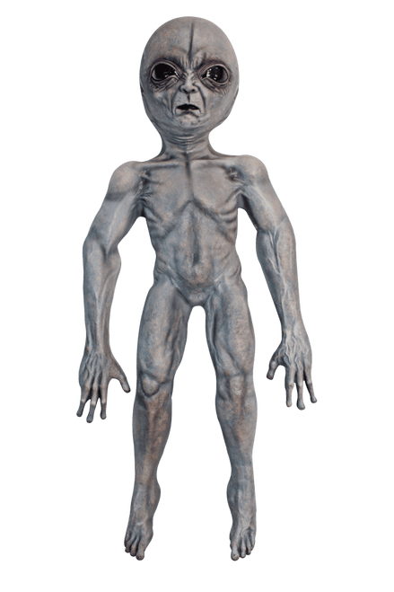 Area 51 Alien Prop- front view