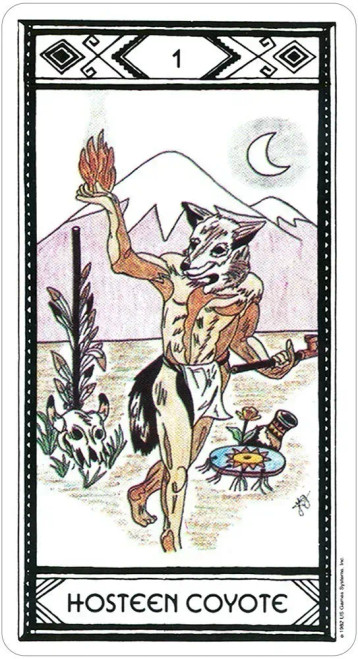 Native American Tarot- hosteen coyote card