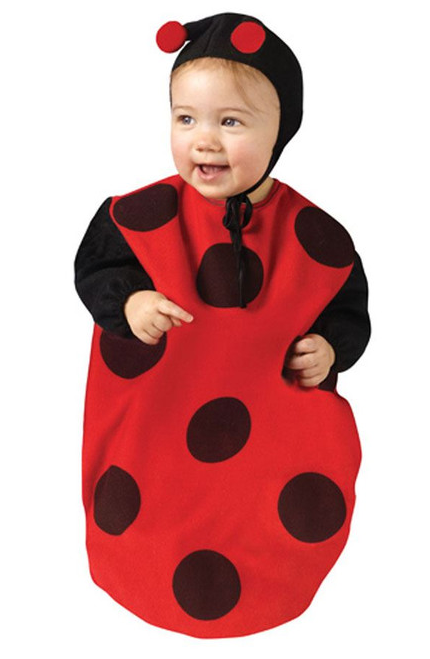 Ladybug Bunting Costume
