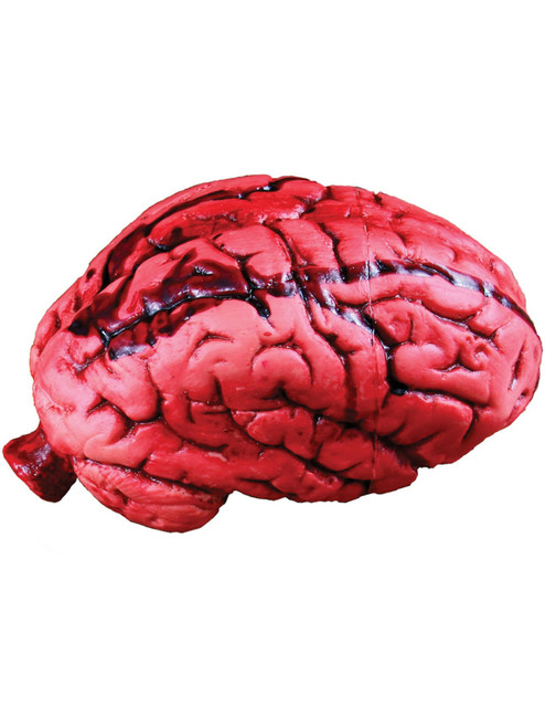 Vital Organ Brain Prop
