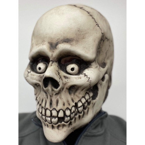 Spooked Skeleton Mask- angled view