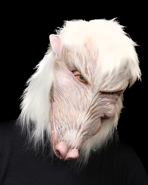 Lab Partner Mask- front view