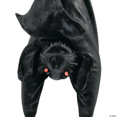 Animated Upside-Down Bat Animated Upside-Down Bat
