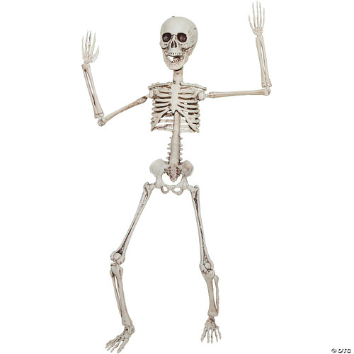 19" Poseable Skeleton- front view