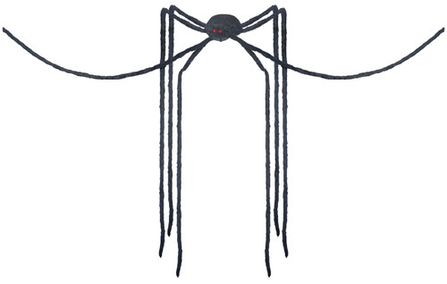 Giant Long-Legs Spider