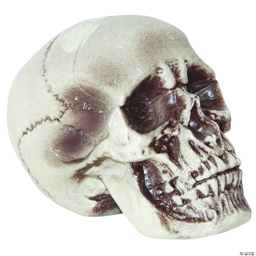 Realistic Skull