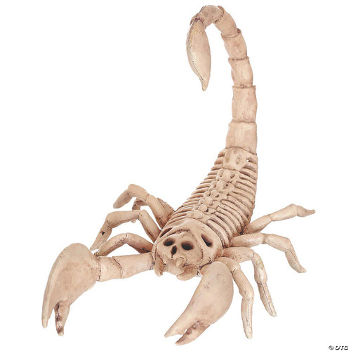 Scorpion Skeleton