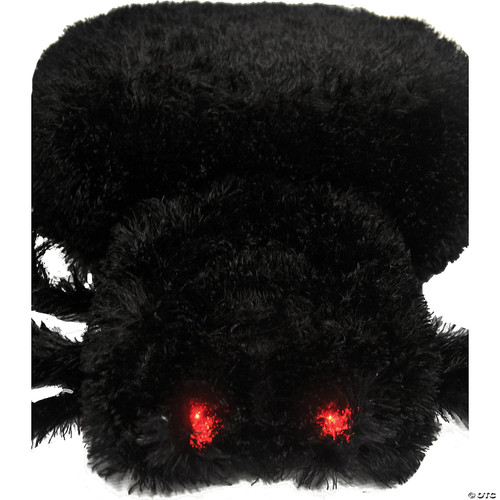 104" Giant Hairy Spider- close up