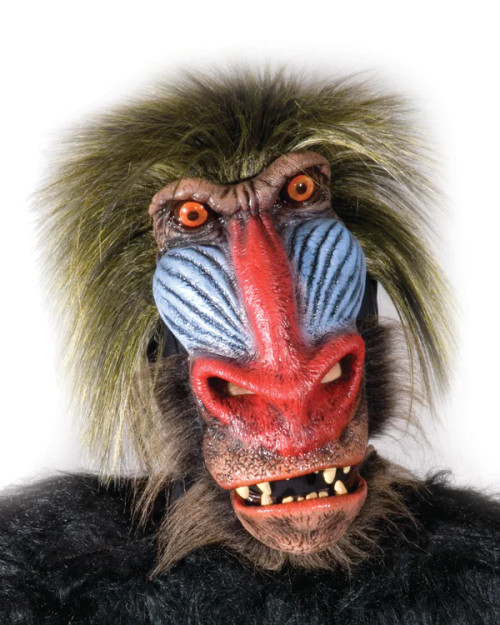Baboon Mask- front view