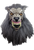 AAWL The Werewolf Mask