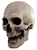 Left-side view of Antique Skull Mask