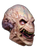 Right-side view of Pumpkinhead Mask
