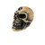 Lapillus Worry Skull-angled front view